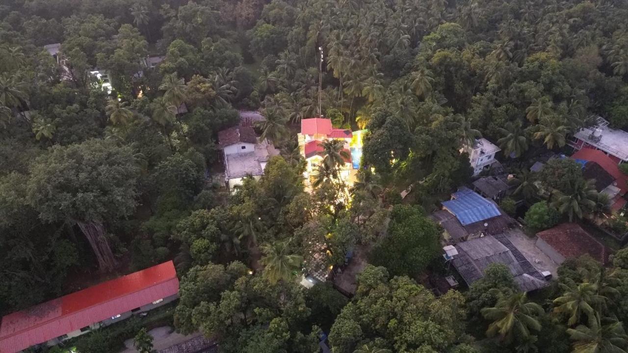 Seas The Day Luxurious 5Bhk Villa 2Min From Awas Beach With Huge Private Pool 알리바그 외부 사진